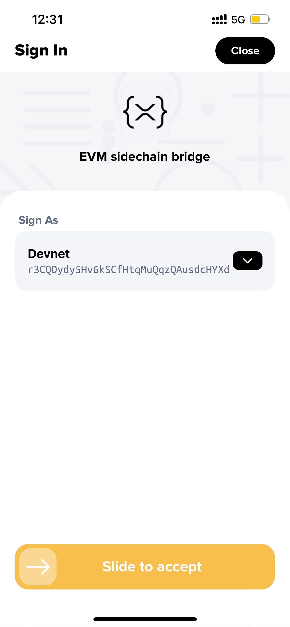 Connect to XRP Ledger Devnet